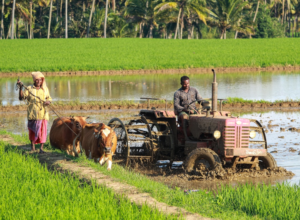 Precision Agriculture Soil & Water Survey