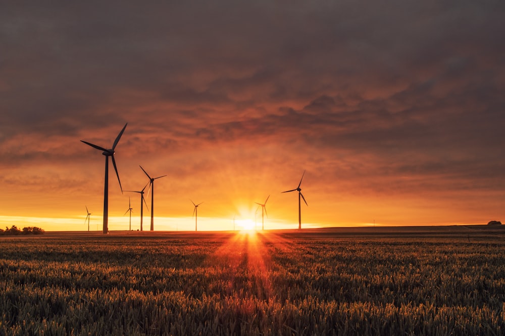 Solar Feasibility & Integration Study